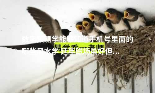 数字预测学能够知道手机号里面的哪些风水学 延年磁场虽好但是使用也要恰到好处